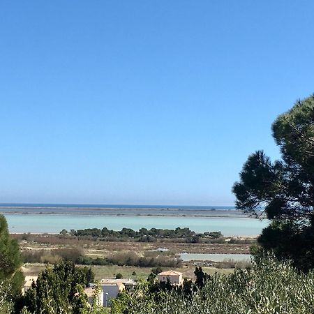 La Poussada, Maisons Ecologiques Avec Vue Mer La Palme Eksteriør billede